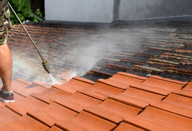 Best Roof Power Washing Services  in Sevierville, TN