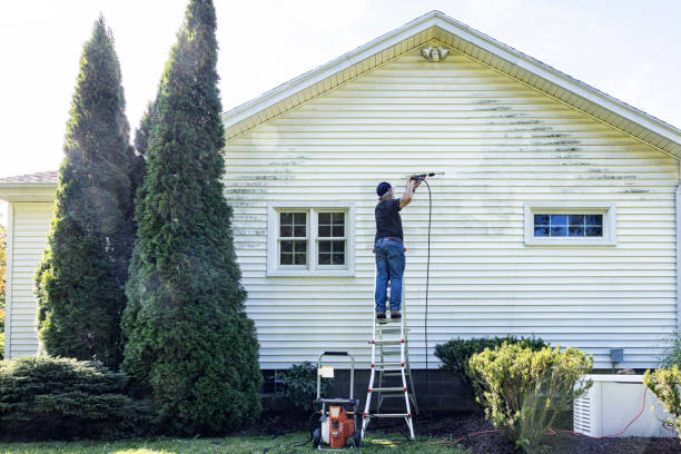 Best Exterior Home Cleaning  in Sevierville, TN