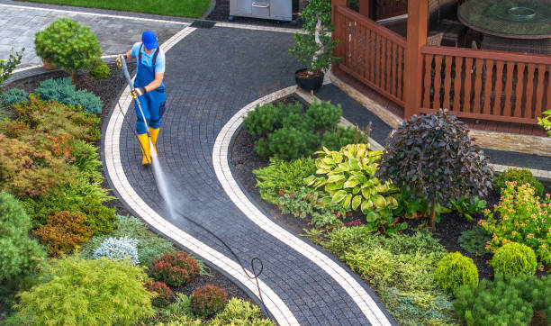 Best Roof Power Washing Services  in Sevierville, TN